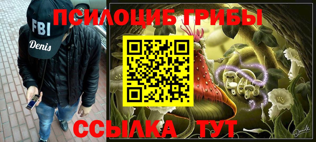 Галлюциногенные грибы Psilocybe  Вход с VPN  Обнинск 